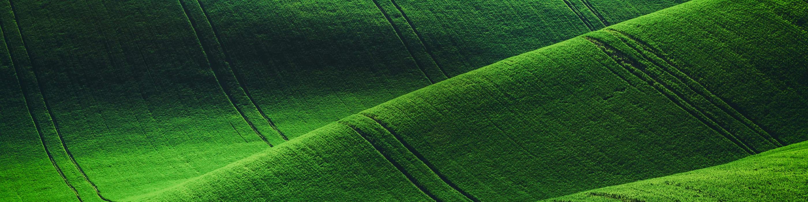 ESG and sustainability services